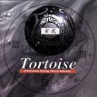 Tortoise Music CD